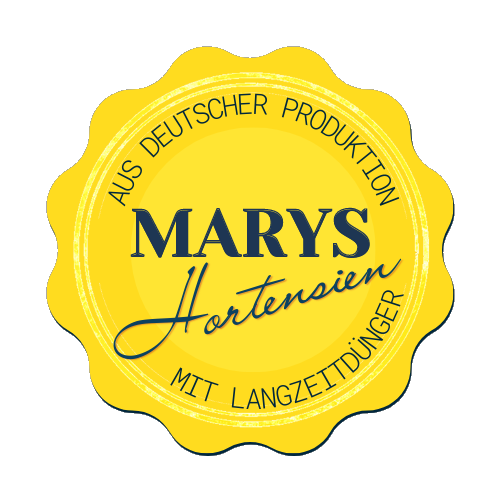 Marys Bauernhortensien